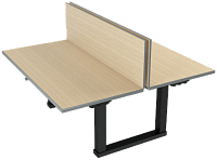 Стол моторизированный двойной TEGAR TDM1 